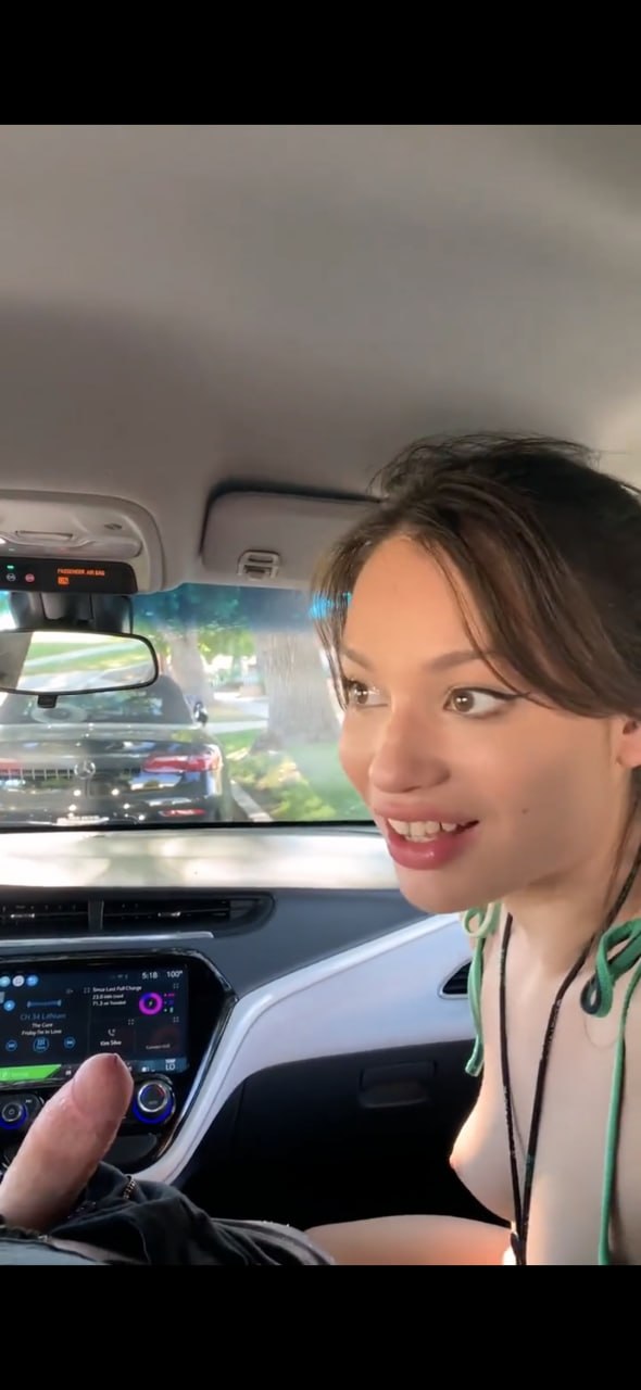 Arabada Zıplayan Çıtır